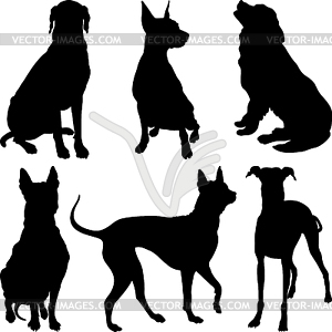 Silhouettes of dogs in various poses - royalty-free vector image