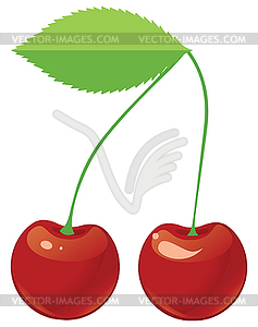 Two red ripe cherries on shank - vector clipart