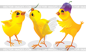 Three cartoon chicken - vector clipart