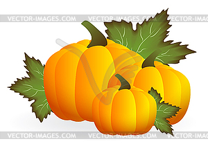 Pumpkin - color vector clipart