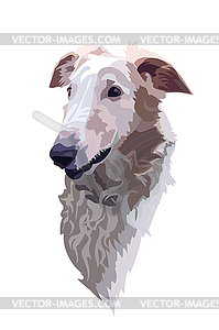 Морда животного борзая собака - векторный клипарт / векторное изображение