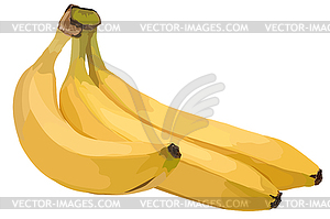 Три спелых желтых банана - изображение в формате EPS