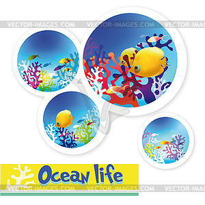 Colorful images of underwater ocean life - vector clipart / vector image