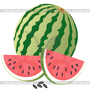 Ripe watermelon - vector image