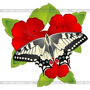 Butterfly on flower - vector clipart