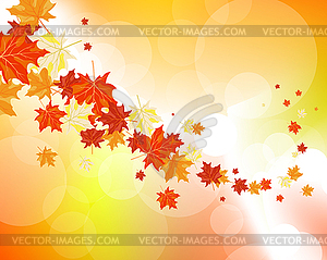 Autumn maple leaves - vector clipart