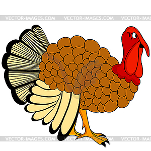 Thanksgiving Day Turkey - vector clipart