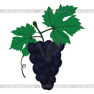 Flat design icon of Grape in ui colors - vector clip art