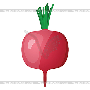 Radishes icon - vector image