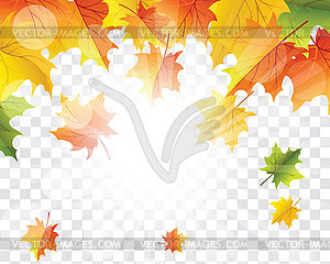 Кленовые листья на сетке прозрачности - векторная иллюстрация