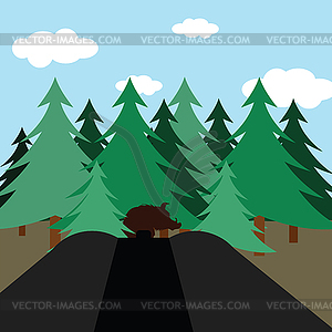 Hunting in fir forest - vector image