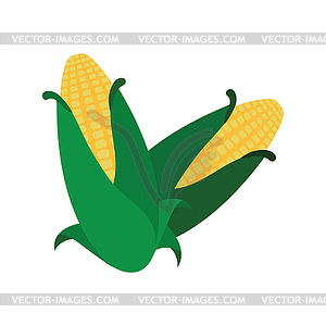 Corn icon - vector image