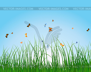 Summer meadow - vector clipart