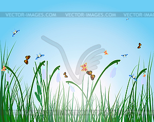 Summer meadow - vector image