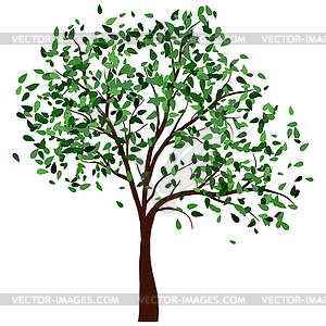 Summer tree - vector image