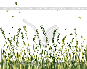 Summer meadow - vector image