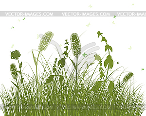 Summer meadow - stock vector clipart