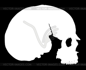 Simple skull in profile - vector clipart