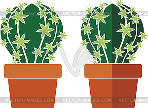 Cactus in pot - vector EPS clipart