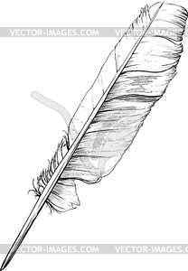 Classic goose feather - vector clipart