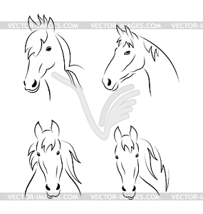 Установить Символы структуры головы лошади - векторный клипарт