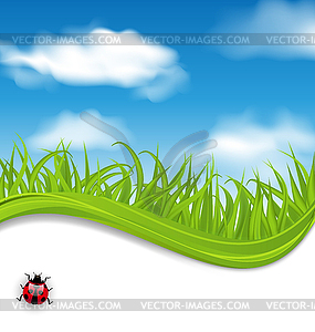 Summer beautiful card, nature background - vector image