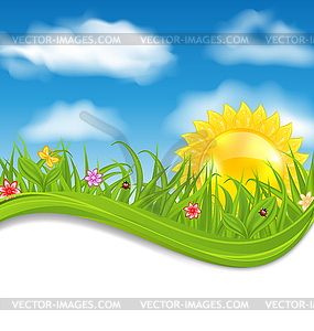 Summer card with sky, cloud, sun, grass, flower, - vector clipart