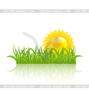 Meadow with green grass and yellow sun - vector EPS clipart