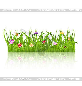 Green grass with flower - stock vector clipart