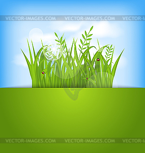Summer beautiful card, nature background - vector clip art