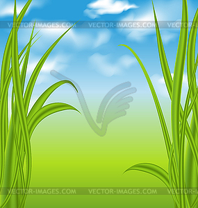 Природа фон с зеленой травой и небо - векторный дизайн