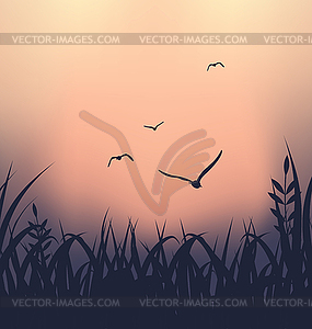 Landscape with grass and flying seagulls - vector clip art