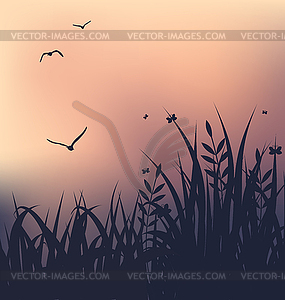 Sunset with grass and flying seagulls - vector clipart