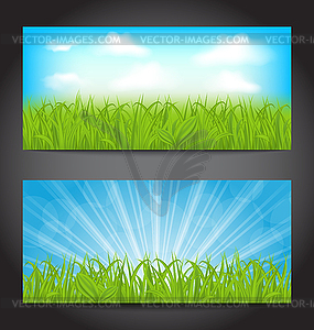 Set summer cards with grass, natural backgrounds - vector clip art