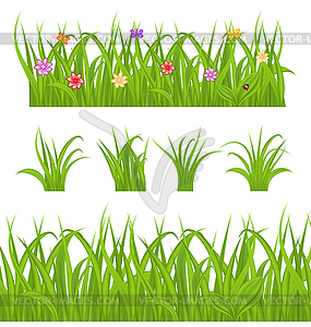 Set green grass - vector clipart