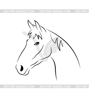 Outline head horse - vector image