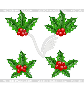 Christmas set holly berry branches - vector image