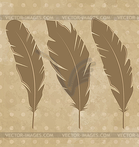 Set vintage feathers on grunge background - vector image