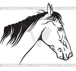 Horses muzzle profile - vector clipart / vector image