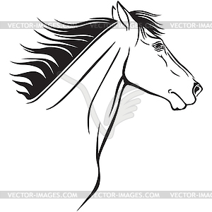 Horses muzzle profile - vector image