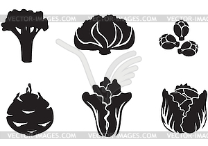 Cabbage set - vector clipart