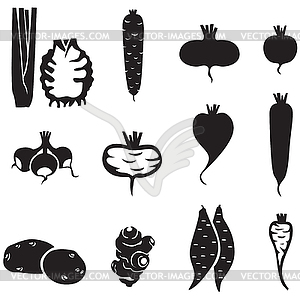 Roots set - vector image