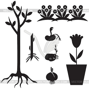 Garden seedling set - white & black vector clipart