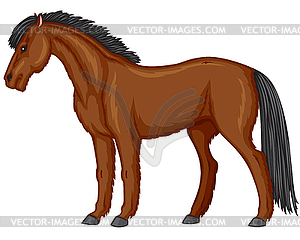 Chestnut pony - vector clipart