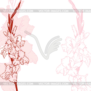 Gladiolus flowers background - vector clip art