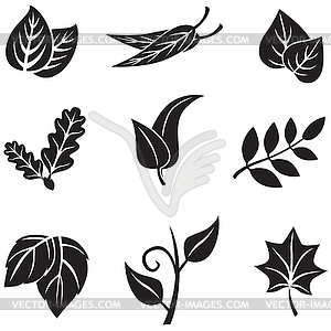 Leaves set - vector EPS clipart