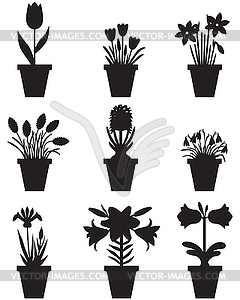 Set of flowers in pots - vector image