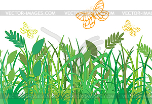 Green grass with butterflies - vector clipart