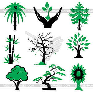 Trees and plants - vector clip art