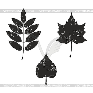 Grunge leaves silhouete set 0 - vector clipart